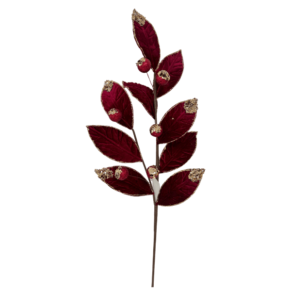 TG246009-R.png