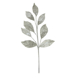 TG25S2552W.png