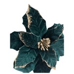 CAROL - 2025-05-19T120329.035.png