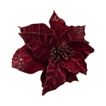 CAROL - 2025-05-19T120832.556.png