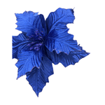 CAROL - 2025-05-19T121047.434.png