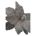 CAROL - 2025-05-19T121222.665.png