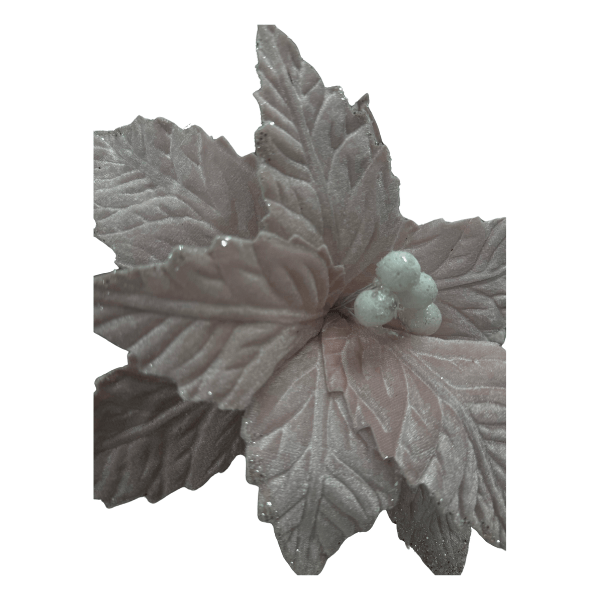 CAROL - 2025-05-19T121222.665.png