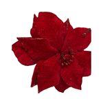 CAROL - 2025-05-19T121949.345.png