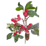 CAROL - 2025-05-21T131614.385.png