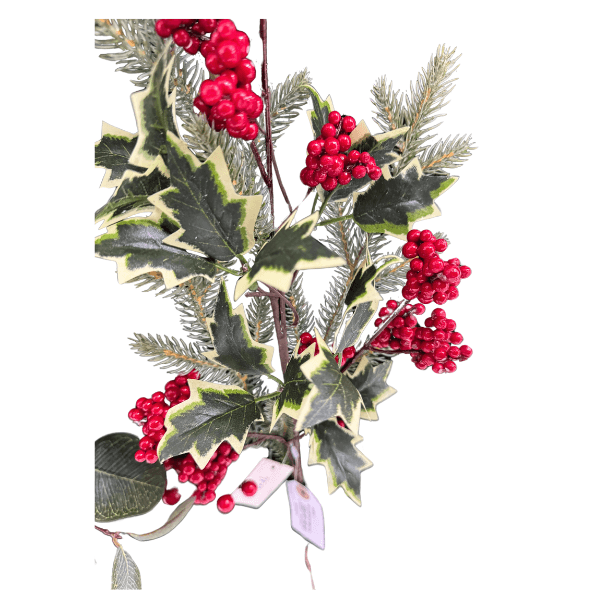 CAROL - 2025-05-21T144625.101.png