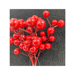 CAROL---2025-05-21T145021.036.png