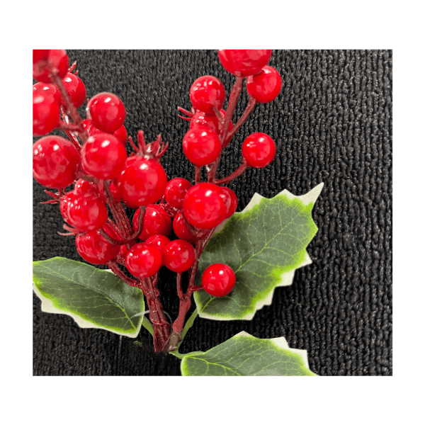 CAROL - 2025-05-21T150135.010.png