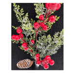 CAROL - 2025-05-21T150518.010.png