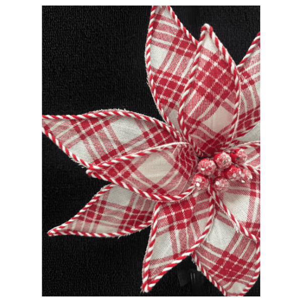 CAROL - 2025-05-26T151440.151
