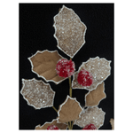 CAROL - 2025-05-26T152015.297