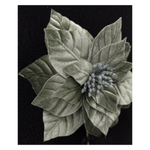 CAROL - 2025-06-25T143117.007