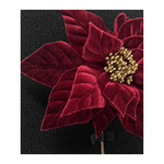 CAROL - 2025-06-25T150200.052