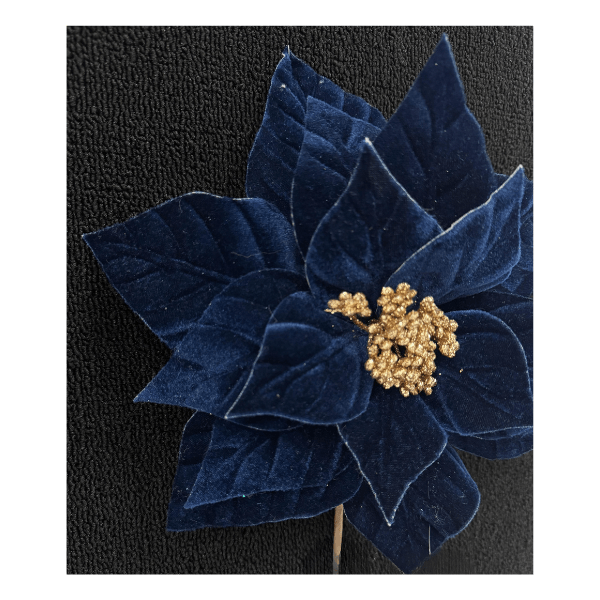 CAROL - 2025-06-25T150443.088