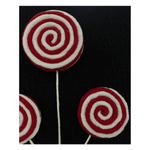 CAROL - 2025-06-25T152012.307